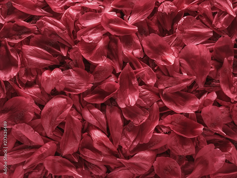 Background of red peony petals. Bright saturated red purple peony pattern background. Burgundy floral texture can use as wallpaper, card design Background of red peony petals. Bright saturated red purple peony pattern background. Burgundy floral texture can use as wallpaper, card design