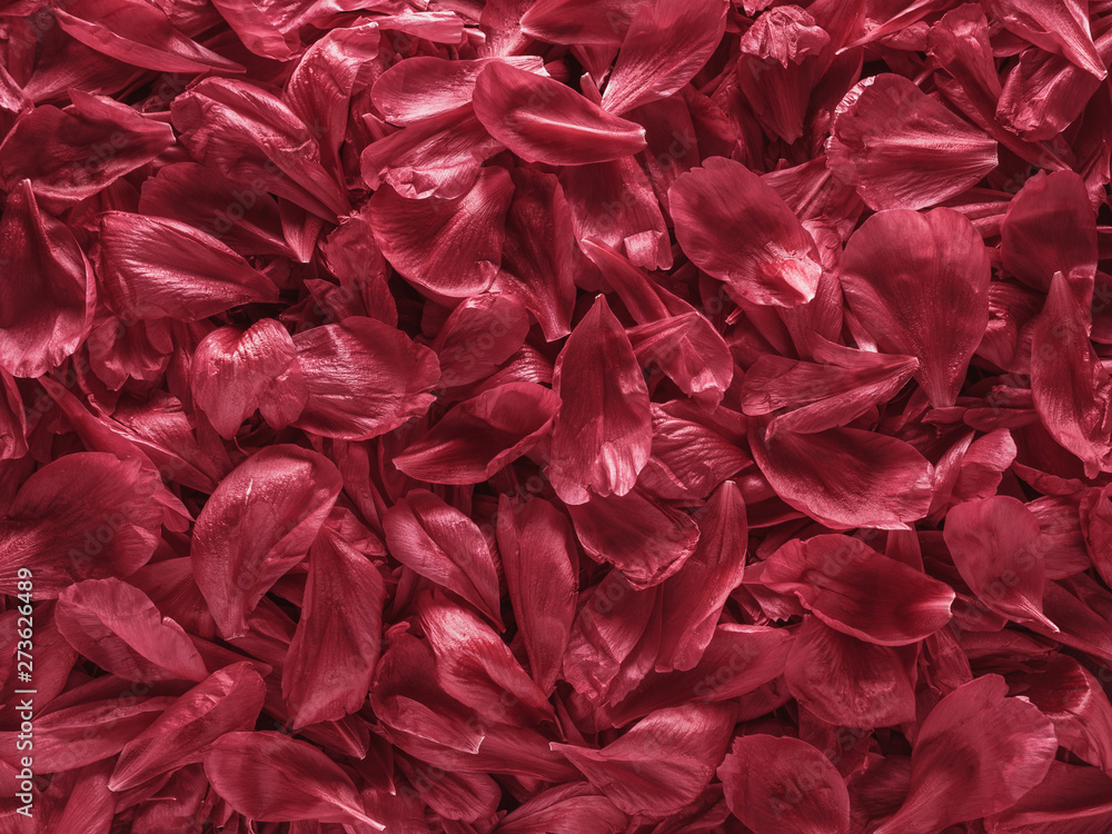 Background of red peony petals. Bright saturated red purple peony pattern background. Burgundy floral texture can use as wallpaper, card design