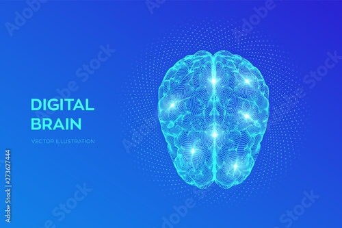 Brain. Digital brain with binary code. 3D Science and Technology concept. Neural network. IQ testing, artificial intelligence virtual emulation science technology. Vector illustration.
