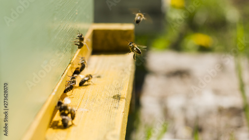 Bees on wood box © Freepik