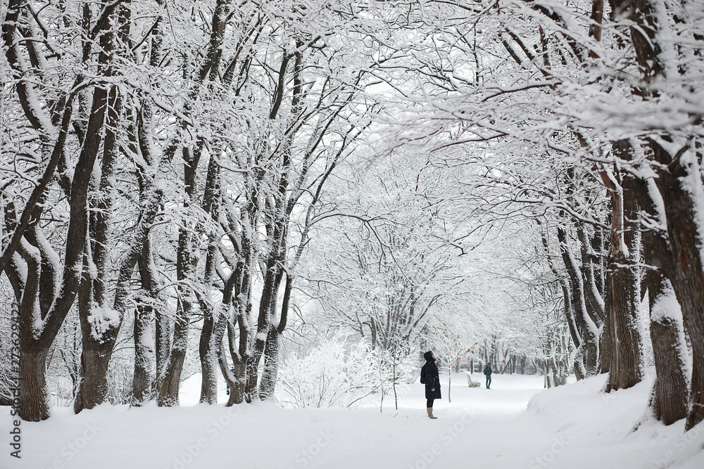 Winter landscape. Forest under the snow. Winter in the park. Winter landscape. Forest under the snow. Winter in the park.