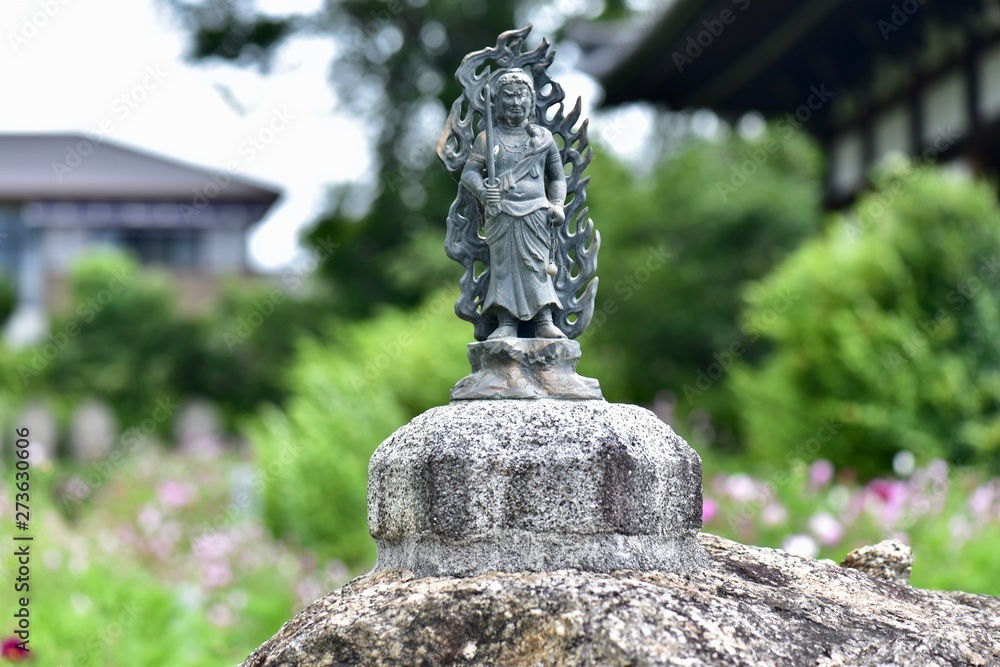 同時に咲く日本の寺のアジサイとコスモス 同時に咲く日本の寺のアジサイとコスモス