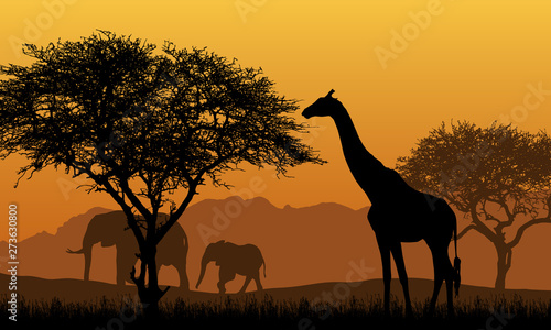 Realistic illustration of African safari with mountain landscape, trees and elephant and giraffe. Under the orange sky with rising sun, vector