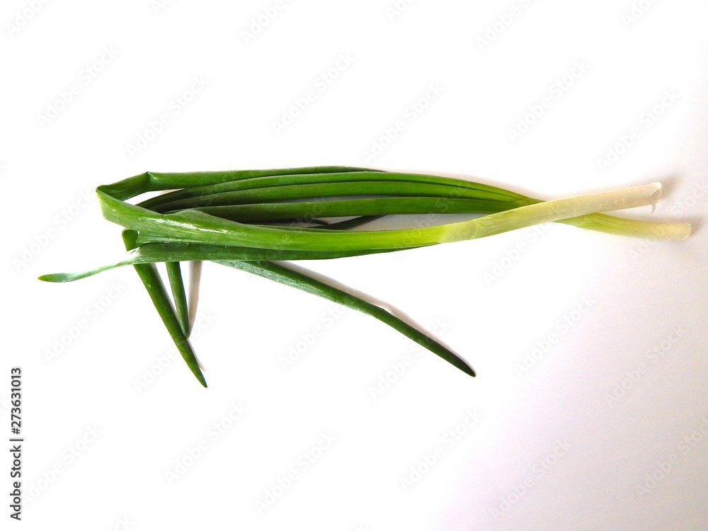 Fototapeta premium Spring onion isolated on white background. Stalk of green fresh onions close-up.