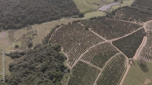 helicopter flight over coffe farm, minas gerais, belo horizonte, brazil photo