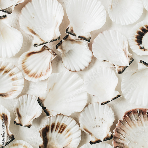 Sea shells pattern on white background. Flat lay, top view minimal scallop texture.