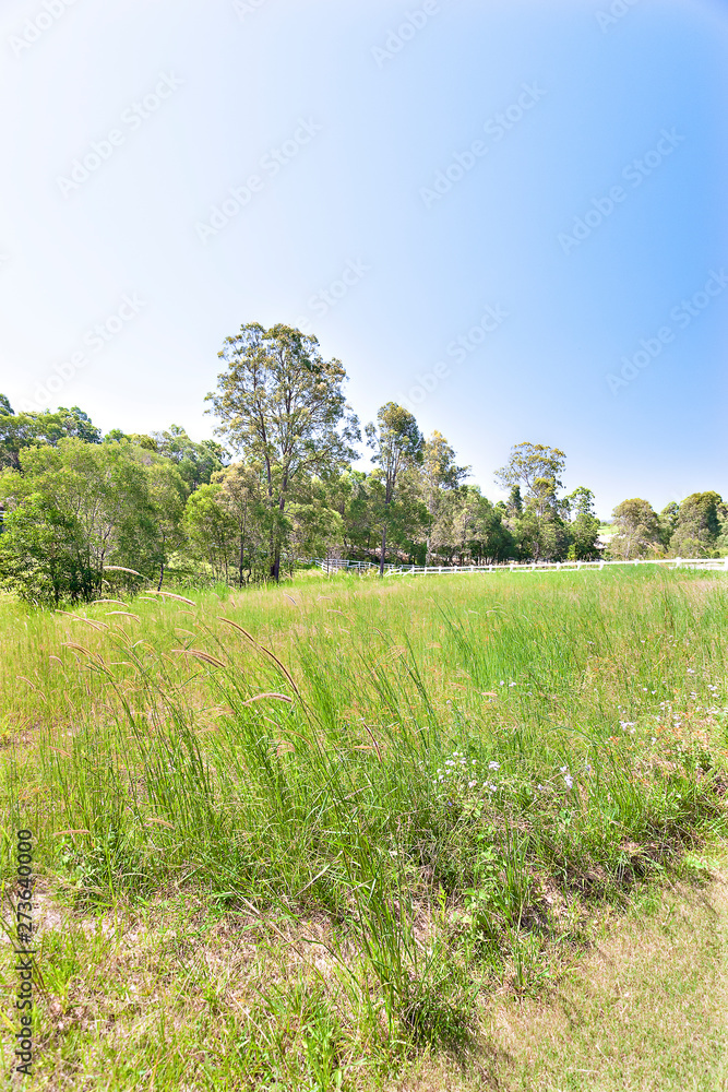 Obraz premium Colorful green lawns ground near forest with trees.