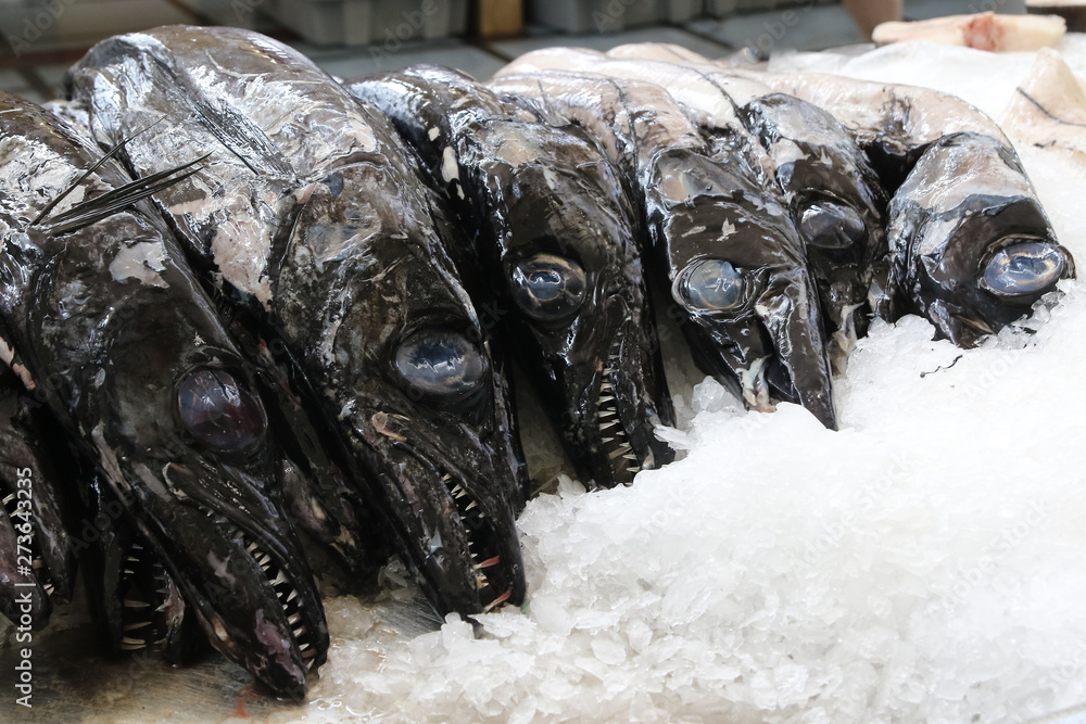 Black Scabbard Fish Aphanopus Carbo Stock Photo Adobe Stock