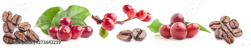 Collection of coffee beans isolated on white background