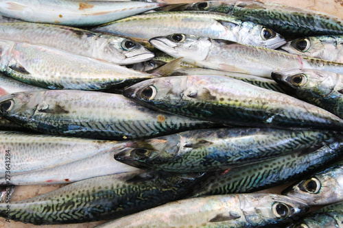 Bunch of fresh sardines fish