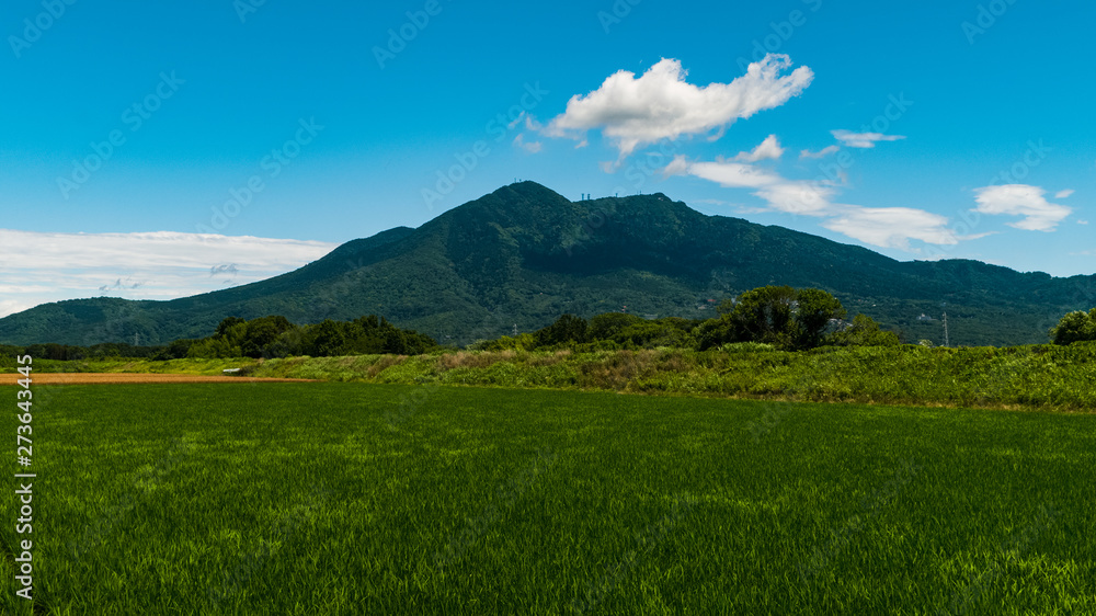 新緑の筑波山