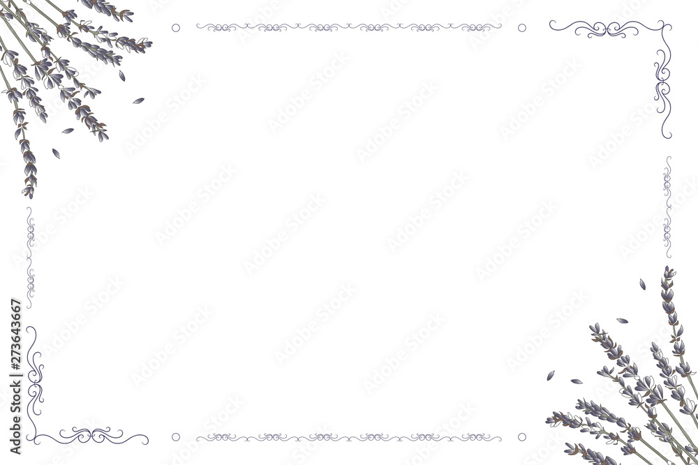 Vector card frame with lavender flowers on a white background Vector card frame with lavender flowers on a white background