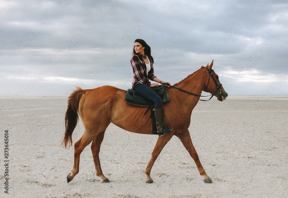 Beautiful woman riding a horse in evening Beautiful woman riding a horse in evening