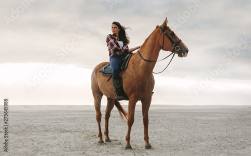 Woman on her horse at the beach