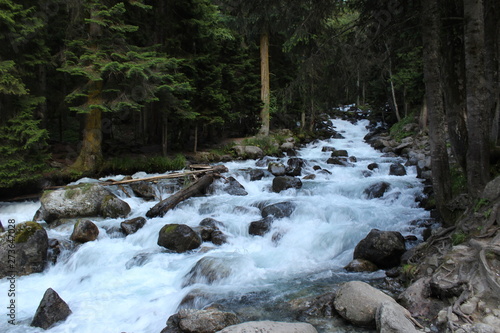 waterfall in the forest