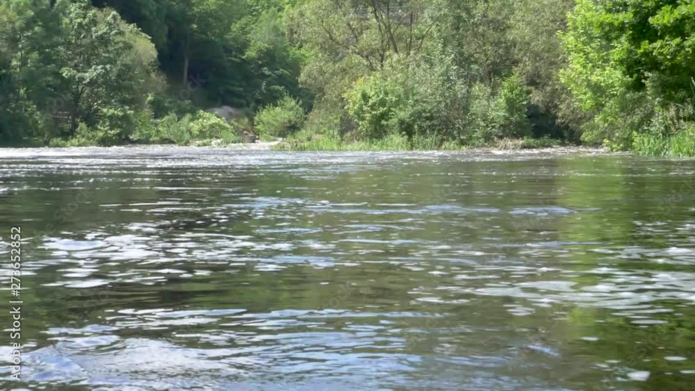 river in forest river in forest