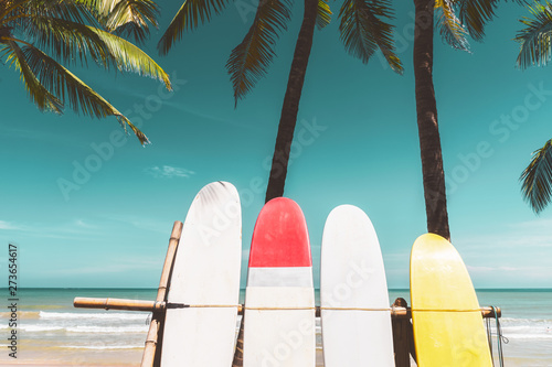 Photography Surfboard and palm tree on beach background.