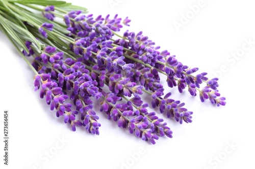 Fototapeta Naklejka Na Ścianę i Meble -  Bouquet of lavender.