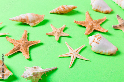 sea shells and starfish on a greenbackground and sand. Vacation time concept