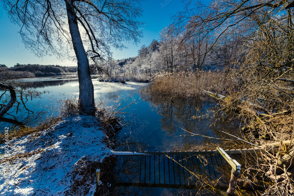 Lower Oder Valley National Park in winter