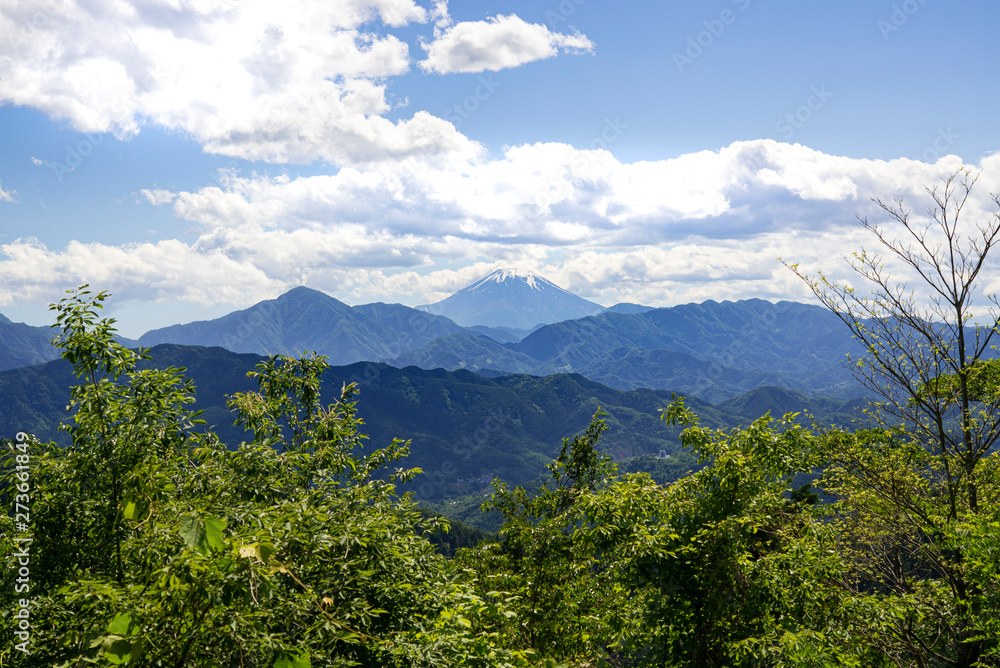 Mt.Fuji and the surrounding landscape from the summit of Mt. Takao in early summer. Mt.Fuji and the surrounding landscape from the summit of Mt. Takao in early summer.
