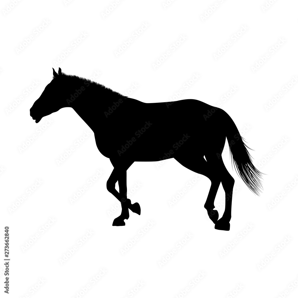 Naklejka premium Horse Silhouette