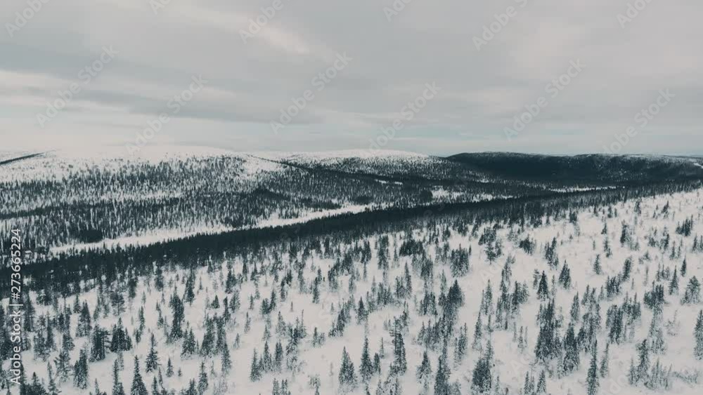 Flying over a forrest in the Swedish mountains on a cold winters day. A mysterious and dark feel with a grey cloudy sky, revealing the the grand lanscape as we push forward. Flying over a forrest in the Swedish mountains on a cold winters day. A mysterious and dark feel with a grey cloudy sky, revealing the the grand lanscape as we push forward.