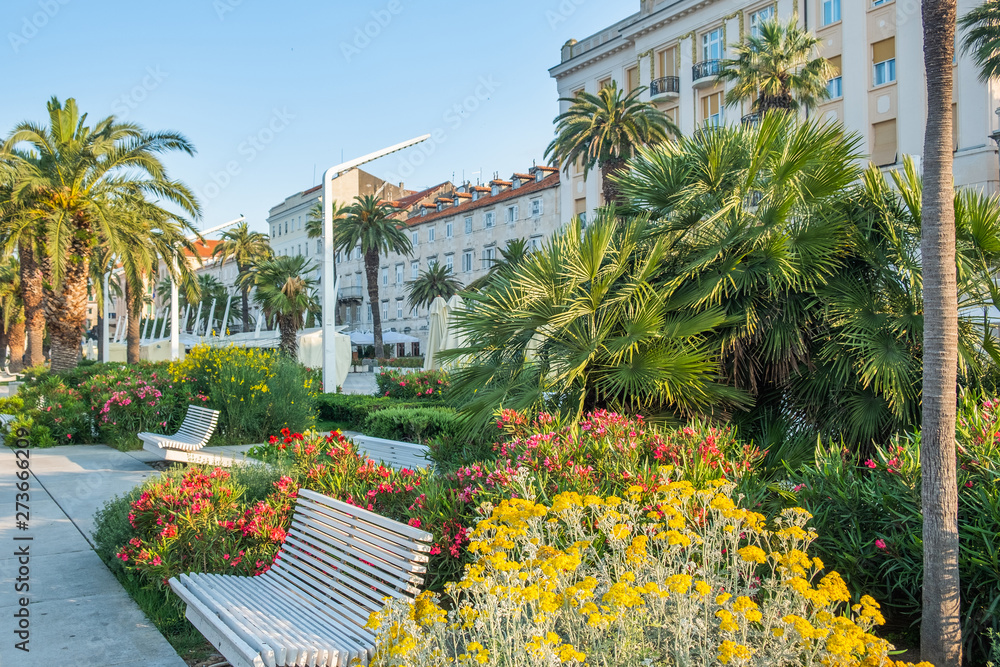 Obraz premium City of Split, Croatia, palms on Riva promenade and walls of palace of Roman emperor Diocletian, world heritage site