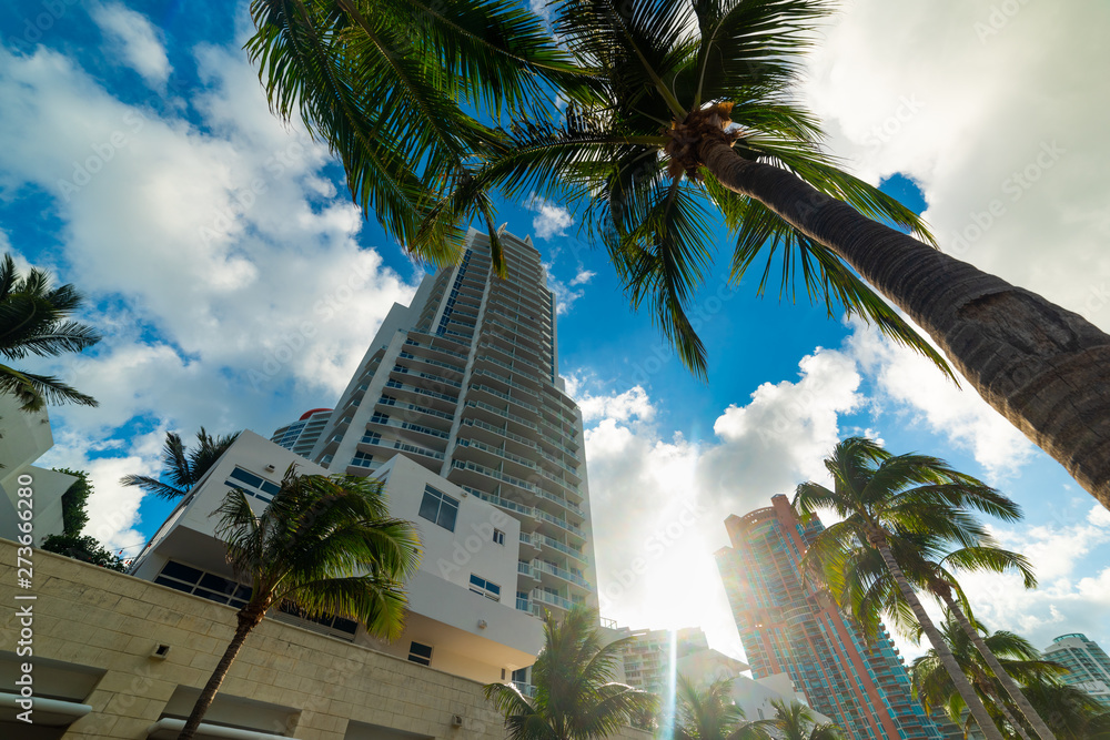 Fototapeta premium Palm trees and skyscrapers in Miami Beach at sunset