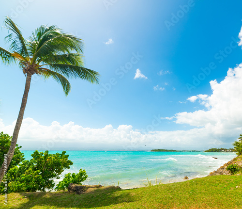Blue sea in Bas du Fort beach in Guadeloupe