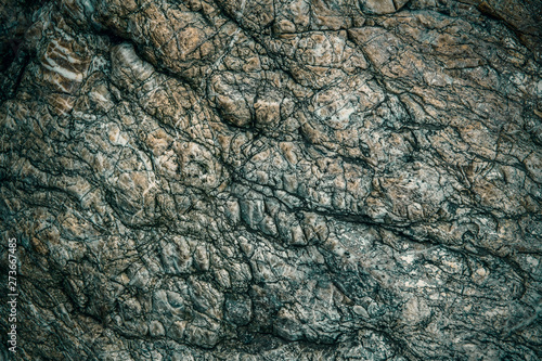 Fototapeta Naklejka Na Ścianę i Meble -  恐竜の肌のような質感の岩