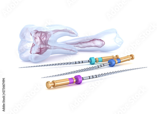 Quadro em tela Endo concept on white. Dental 3D illustration