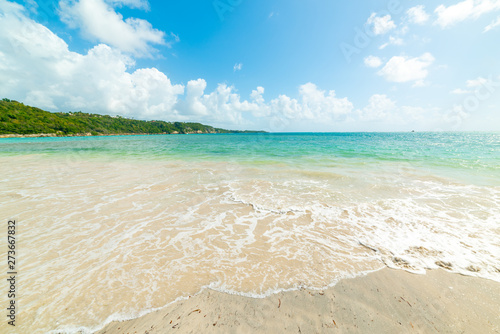 Fototapeta Naklejka Na Ścianę i Meble -  Clear water in Pointe de la Saline beach in Guadeloupe