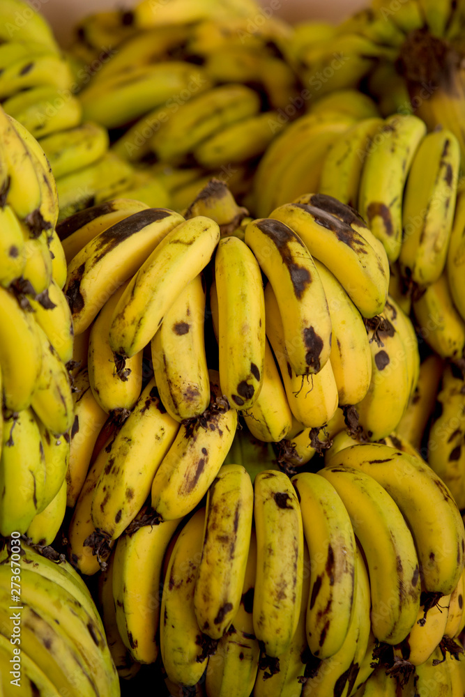 Clusters of yellow ripe bananas