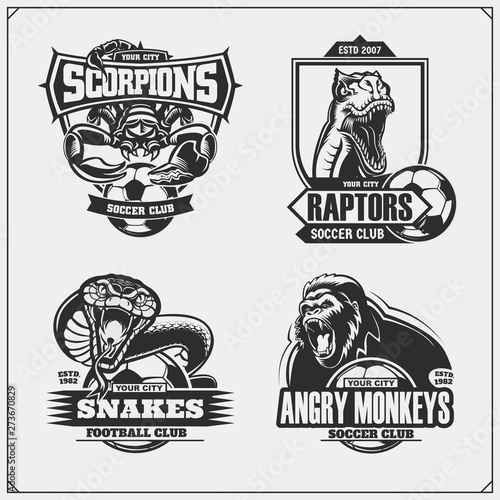 Set of vector football and soccer badges, labels and design elements. Sport club emblems with gorilla, cobra, raptor dinosaur and scorpion. Print design for t-shirts.