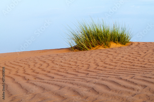 Dunes of Wahiba Sands (Sharqiya Sands), Oman