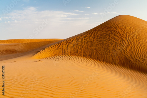 Dunes of Sharqiya (Wahiba) Sands, Oman photo