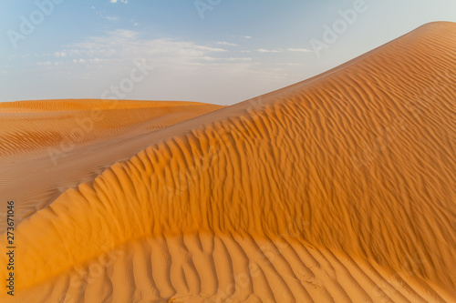 Fototapeta Naklejka Na Ścianę i Meble -  Dunes of Sharqiya (Wahiba) Sands, Oman