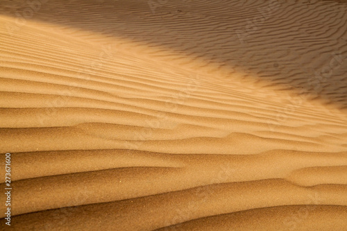 Dunes of Sharqiya  Wahiba  Sands  Oman