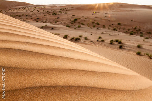 Sand dunes of Sharqiya (Wahiba) Sands, Oman photo