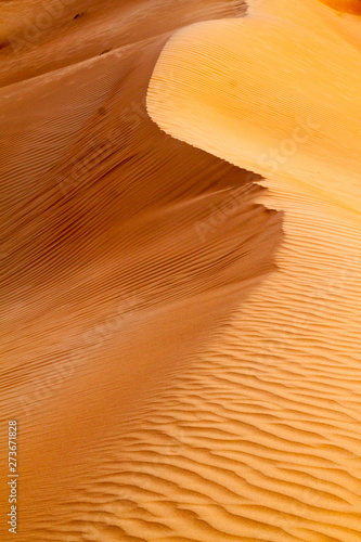 Sand dunes of Sharqiya (Wahiba) Sands, Oman