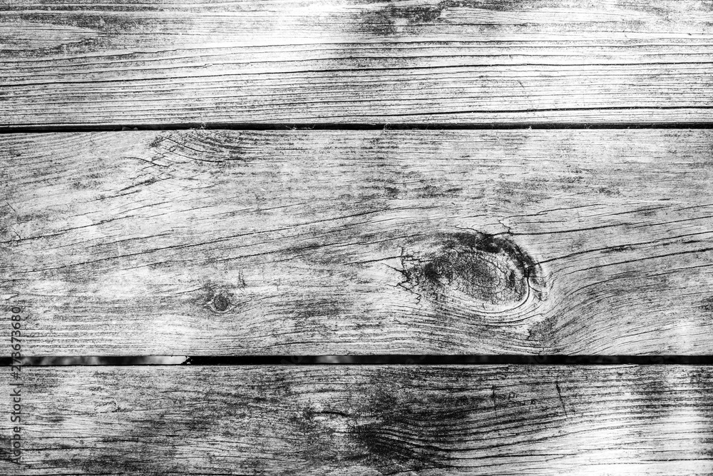 Grey wood grain texture background Stock Photo Adobe Stock