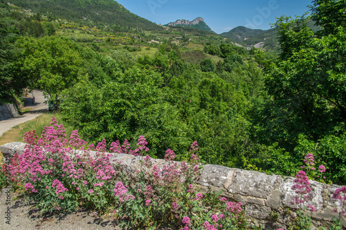 cornillac,drome,france photo