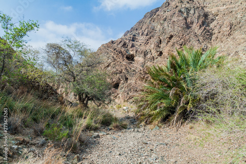 Desolate hills near Muttrah district of Muscat, Oman
