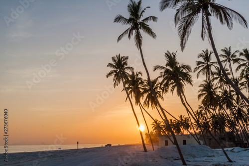 Sunset at the beach in Salalah  Oman
