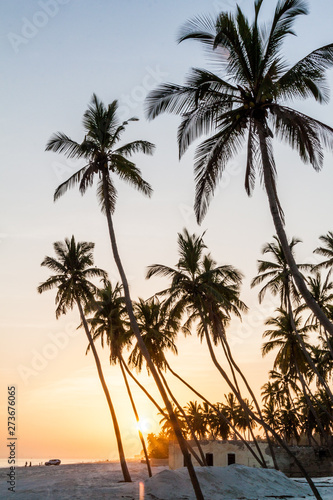 Sunset at the beach in Salalah  Oman