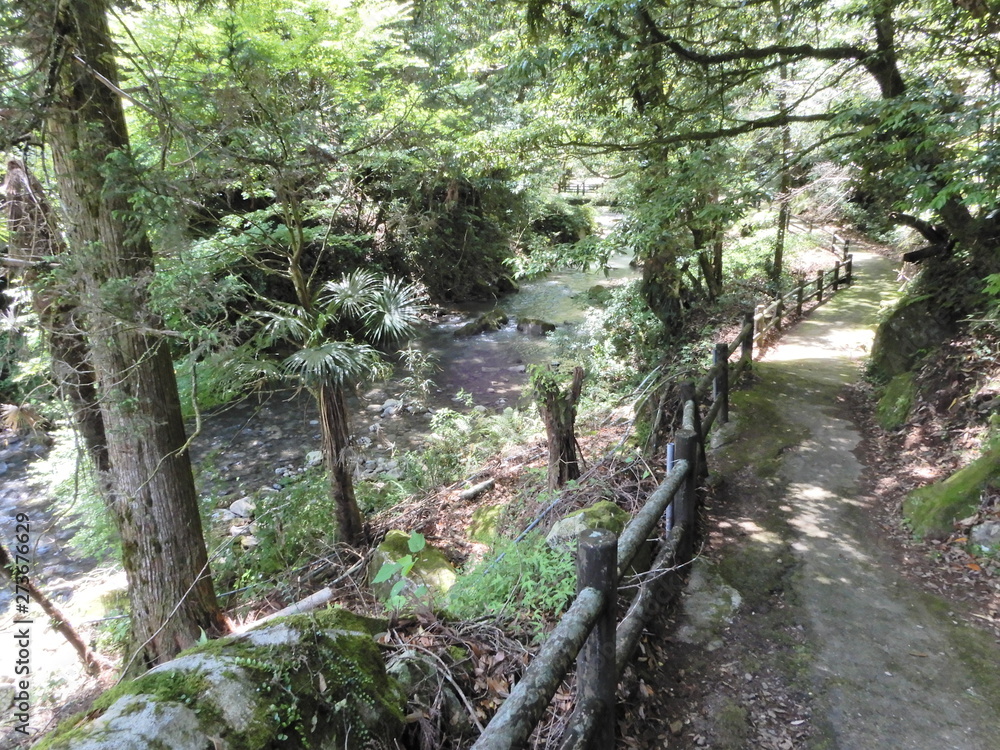 小布施滝、日南市、酒谷、樹木、滝 小布施滝、日南市、酒谷、樹木、滝