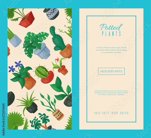 Nature home decoration gardening. Indoor plants in flowerpot beauty decorative flora. House flowers indoor floriculture banner vector illustration. Succulent foliage exotic garden houseplant.