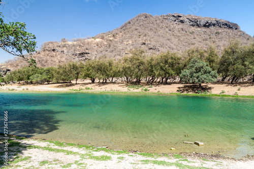 Small lake at Wadi Dharbat near Salalah, Oman.