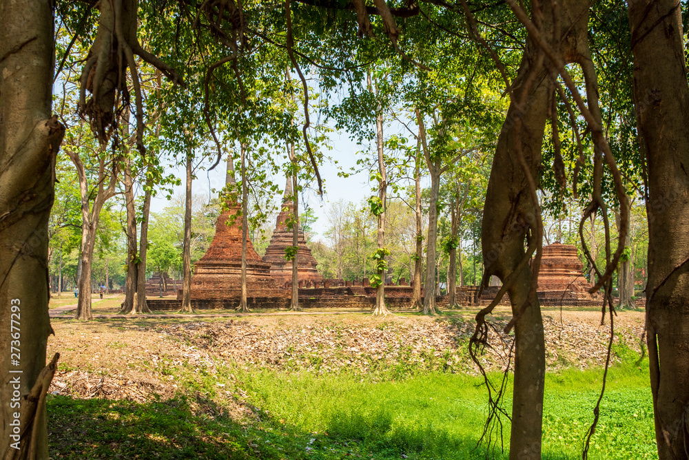 Fototapeta premium Wat temple in Kamphaeng Phet Historical Park Thailand.
